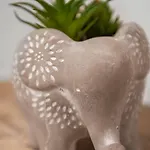 Apartment H2o