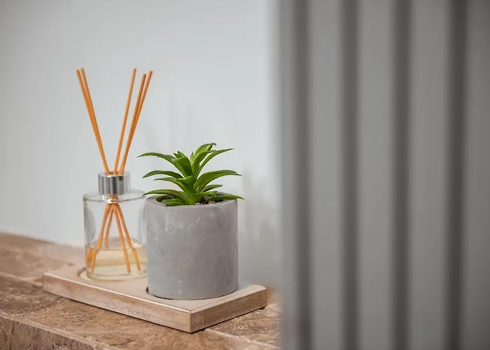 H2o Apartament Mangalia